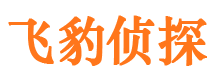 武陵源侦探公司